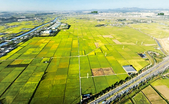 제3기 신도시로 선정된 부천시 대장지구 전경. 부천시는 대장동·오정동·원종동 일대 343만㎡(104만평)에 2만 가구를 건설하며 공항철도, 지하철, 광역급행(GTX) 등 교통망을 대폭 확충한다.  부천시 제공