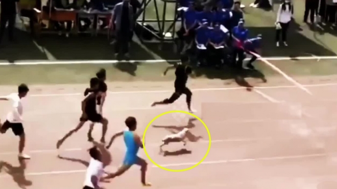 길 잃은 개 한 마리가 대학생들이 달리는 100미터 트랙으로 들어와 학생들과 함께 뛰는 모습(사진=유튜브 영상 캡처)