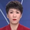 中 여성앵커 美 폭스뉴스 출연해 무역전쟁 토론에 관심 폭발