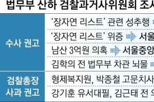 검찰권 남용 수차례 밝혀 놓고 ‘검사 징계’ 말도 못 꺼냈다