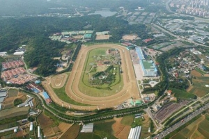 3기 신도시 조성 때맞춰… 이전설 타오르는 과천경마장