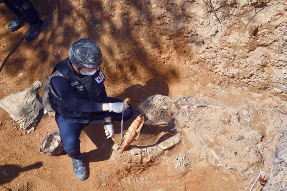 남북공동유해발굴 태스크포스(TF) 장병이 지난 28일 강원 철원군 민통선 내 우리 측 지역인 화살머리고지 일대에서 기초발굴을 하고 있다. 국방부는 지난 4월 1일부터 5월 22일까지 발굴된 유해는 총 321점이며 유품은 2만 2808점이라고 밝혔다. 철원 사진공동취재단