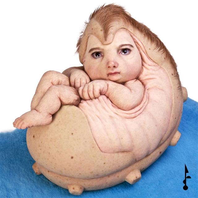 신생아, 고슴도치, 애벌레, 미지의 외계생명체 등을 뒤섞어 놓은 듯한 호주 작가 패트리샤의 그림 ‘더 루키’. So!YooN!의 첫 앨범 커버다. 매직스트로베리사운드 제공