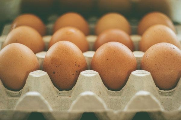 계란의 유통과정과 신선도 변화를 한 눈에 볼 수 있는 기술을 국내연구진이 개발했다. 美하버드대 공중보건대 제공