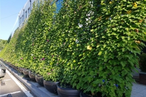 경기도, 때 이른 더위에 발 빠른 폭염대책