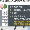 돼지 감염 땐 치사율 100%… 사람은 전염 안 돼