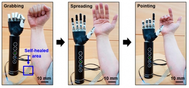 인간-로봇 인터커넥트로 작용하여 인간의 팔 움직임을 로봇 팔에게 전달할 수 있는 고분자 복합체