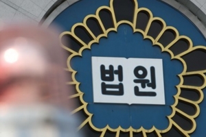 자녀들 힘들게 한다고…친정엄마 살해하려 한 주부 실형