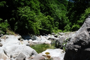 작년 용추계곡에서 9회 대장균 과다 검출