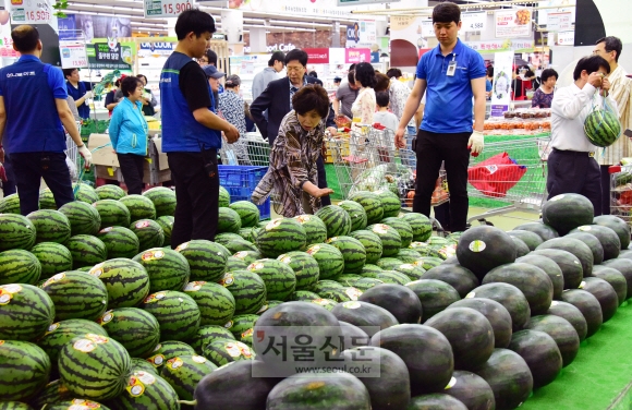 본격적인 무더위가 시작된 가운데 9일 농협 하나로마트 양재점에서 소비자들이 여름철 과일인 수박을 고르고 있다. 2019.6.9.     이종원 선임기자 jongwon@seoul.co.kr