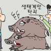 [생각나눔] 북한 돼지열병 막기 위해 DMZ 멧돼지 죽인다는데…
