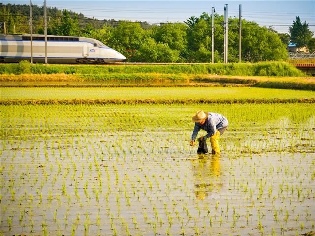 2011년 6월, 충남 연산