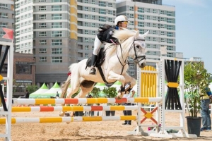 14일 승마의 매력을 보여주마