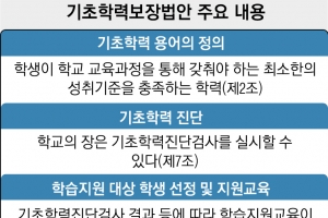 기초학력보장법 만들면서… ‘기초’ 정의도 못 내린 교육계