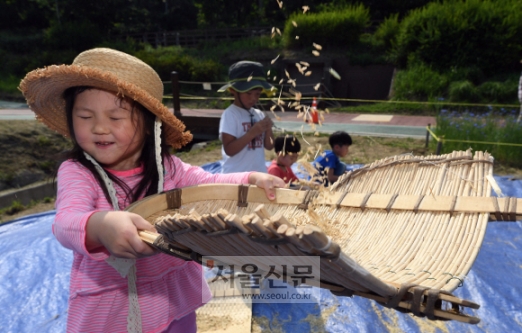[서울포토] 어린이들의 ‘전통 보리수확 체험’