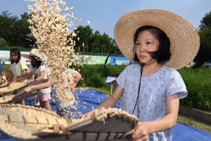 꼬마 농부의 보리수확