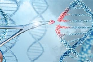 자폐증 모델 원숭이도 뚝딱…팔방미인 유전자 가위 ‘진화’