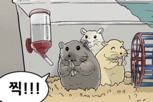 기안84, 햄스터 학대? ‘해당 장면 봤더니..’
