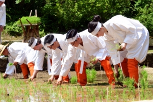 창덕궁 옥류천 청의정에서 열린 모내기 행사