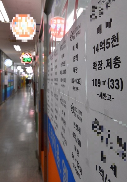 서울 강남 지역의 한 부동산. 우리 주위에서 흔히 볼 수 있는 모습이지만 엄밀히 말해서 이는 불법이다. 달라진 시대를 따라가지 못하는 제도 때문에 업소 유리창 밖에 필름지 선팅을 하거나 매매전단을 붙여놓으면 규제 위반이 된다. 서울신문 DB