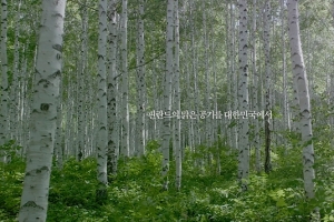 ‘캠핑클럽’ 첫 티저, 핑클과 함께 하는 전국여행 “외국인줄”