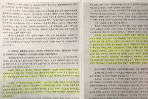 “‘강습제강’ 진위 따져야, 김정은 비핵화 의지 없다고 속단하면 안돼”