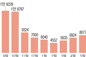 정부 쓸 카드 별로 없는데… 서울 아파트 가격·거래량 ‘꿈틀’