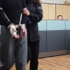 “타살? 과실?” 전문가들이 본 고유정 의붓아들 의문사