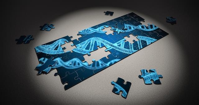 인체 유전정보인 게놈을 해석해 암이나 각종 유전질환을 치료하고 예방하려는 시도들이 활발하다. 그러나 게놈 연구 대부분이 유럽계 백인 중심으로 이뤄지고 있어 연구 결과를 인류 전체에 적용할 수 없다는 지적이 나왔다. 픽사베이 제공