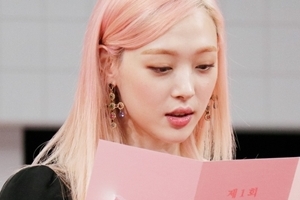 ‘악플의 밤’ 설리 “내 대표작은 인스타그램? 인정”