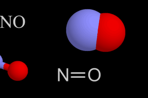 질병 치료하는 일산화질소 맘대로 조절하는 법 개발