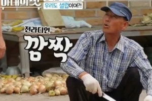 TV조선 ‘아내의 맛’ 제작진, ‘호남 비하’ 일베 용어 자막 사과