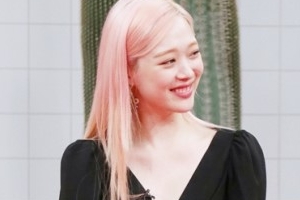 ‘악플의 밤’ 설리, 악플을 양지로 꺼낸 장본인 ‘파격 발언은..’