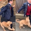 ‘날 두고 어디 가!’…등굣길 꼬마 주인 다리에 매달린 리트리버