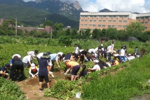 수확과 나눔의 기쁨 배우는 도봉의 도시농부들