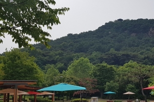 시흥 옥구공원·갯골생태공원 도심 속 취사존 개장