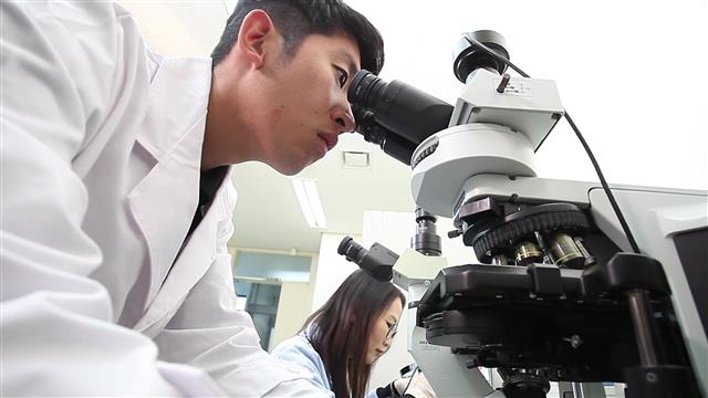 강릉과학산업진흥원 연구원이 동해안 해양수산물 등을 이용해 식품과 화장품, 의약품을 연구개발하고 있다. 강릉과학산업진흥원 제공