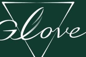 박효신 소속사 측 “대표 프로포폴 투약 의혹 사실무근”