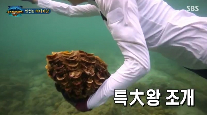 멸종위기종인 대왕조개를 사냥하는 장면이 방송을 탔다. SBS 방송화면 캡처