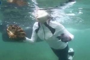 ‘정글의 법칙’ 측 사과 “내부조사 후 조치… 이열음 피해 없도록 할 것”