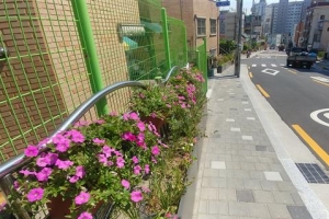 꽃길 걷는 강북