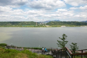 숲길 걷는 강서