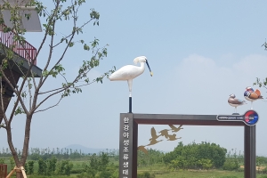 야생조류생태공원 조망마루 옆 벚나무사이 포토존 설치