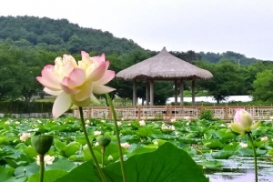 연암의 뜻이 피운 꽃