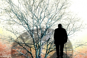 국내 연구진, 알츠하이머 새로운 원인 찾아냈다