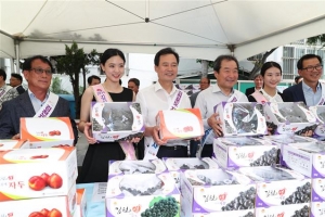 강북서 ‘김천 포도’ 직구하세요