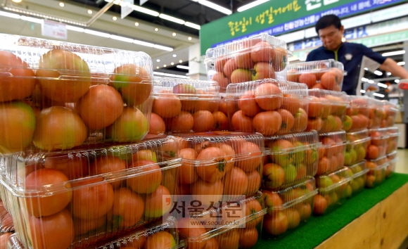 17일 서울 양재동 하나로마트에서 한 시민이 제철을 맞은 토마토를 고르고 있다. 2019.7.17 박지환기자 popocar@seoul.co.kr