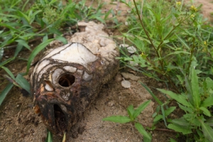 온난화로 죽어가는 지구…세기 말에는 전 세계 식량 위기