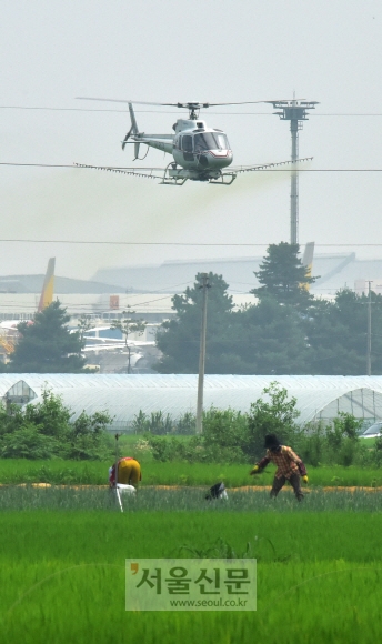 ‘경복궁쌀’ 풍년 들도록…