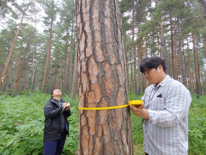 국립산림과학원 연구팀은 남북산림협력의 기초자료인 북한의 산림자원 현황을 파악하기 위해 17~19일 북중 접경지역인 중국 지린성 안투현 일대에서 중국 현지조사팀과 산림자원 현지조사를 실시했다. 국립산림과학원 제공 